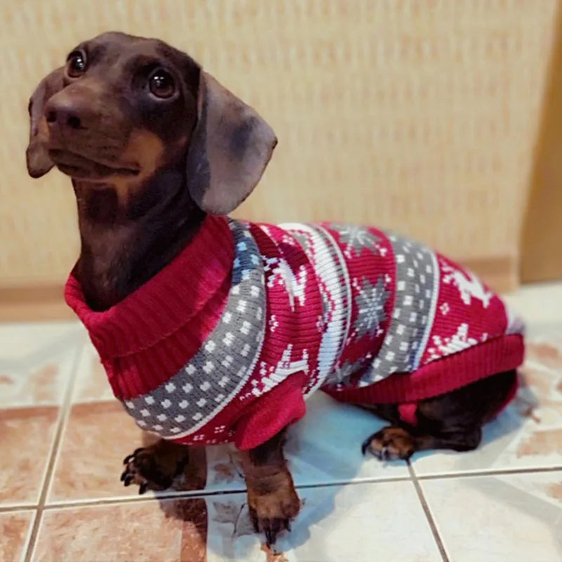 Cute Winter Sweater for Dogs