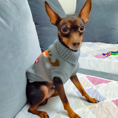 Cute Winter Sweater for Dogs