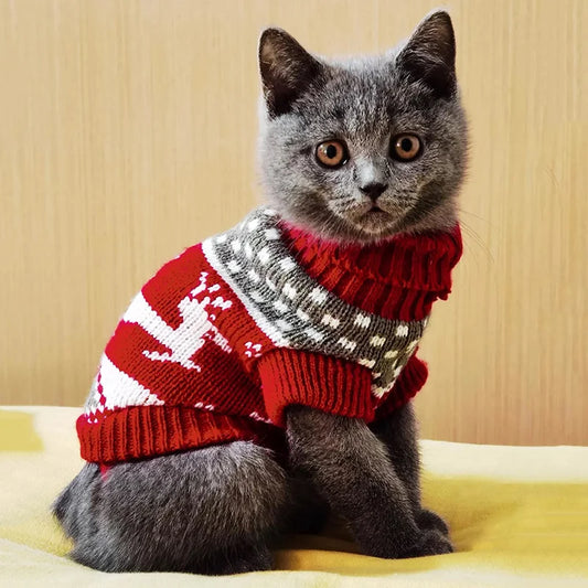 Cute Winter Cat Sweater & Pullover