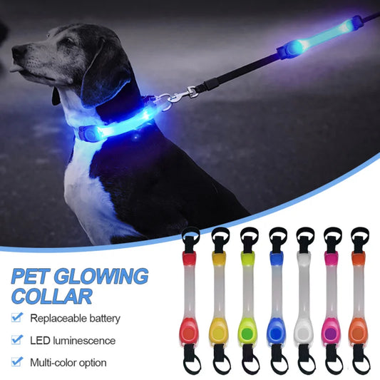 Glowing LED Dog Collar and Leash Set