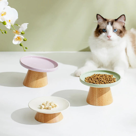 Elevated Ceramic Cat & Dog Bowl