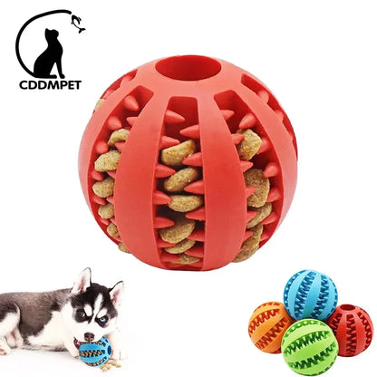 Interactive Rubber Dog Chew Ball