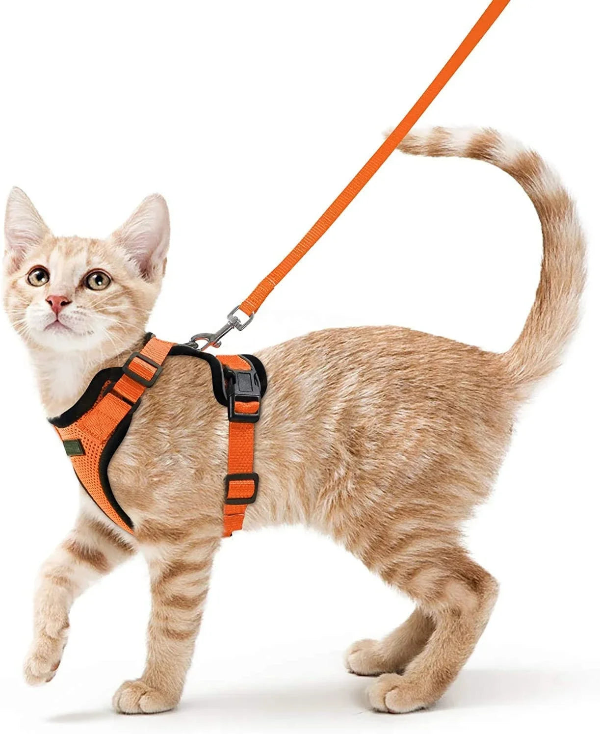 Escape Proof Cat Harness & Leash