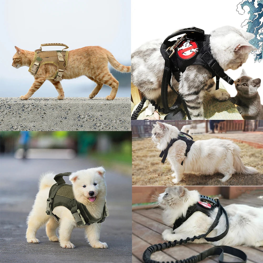 Secure Paws Tactical Harness