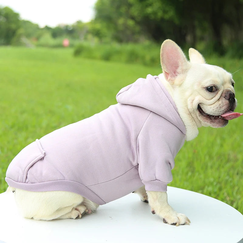 Fashion Hooded Dog Sweater