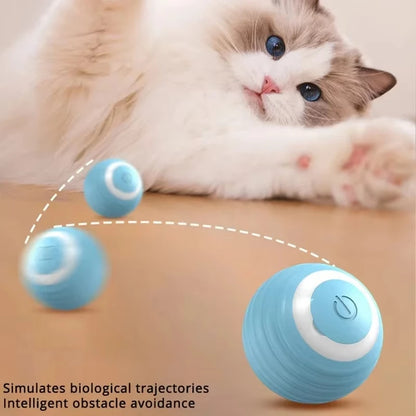 Interactive Electric Cat Rolling Ball