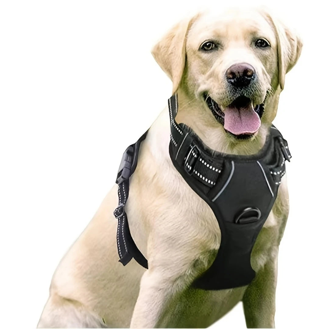 Easy Fit No Pull Dog Harness