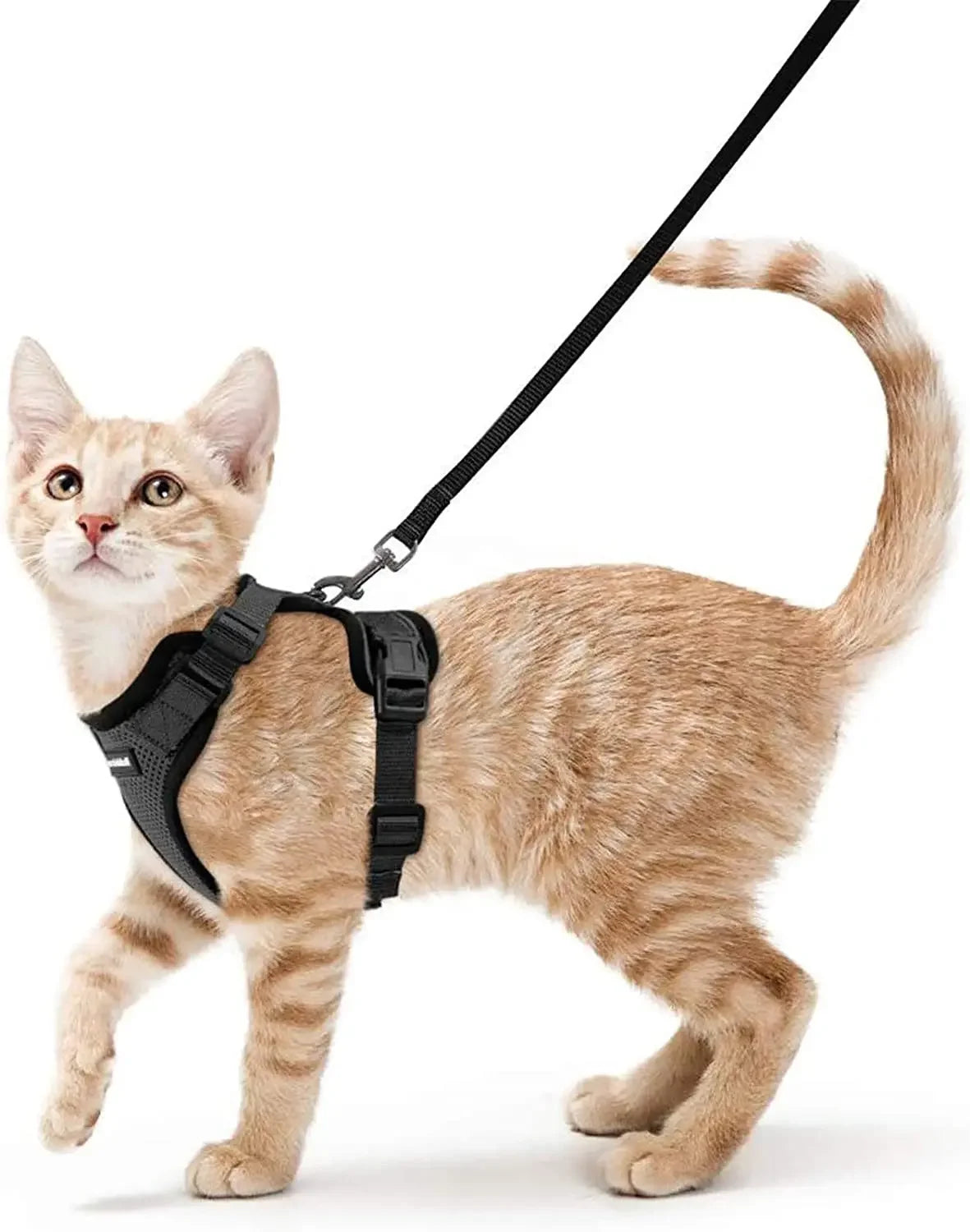 Escape Proof Cat Harness & Leash