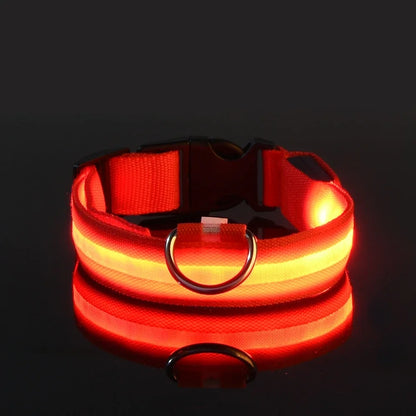 LED Nylon Dog Collar & Leash