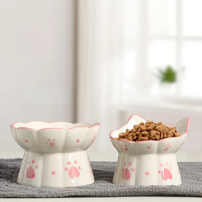 Elevated Ceramic Cat Food Bowl Set