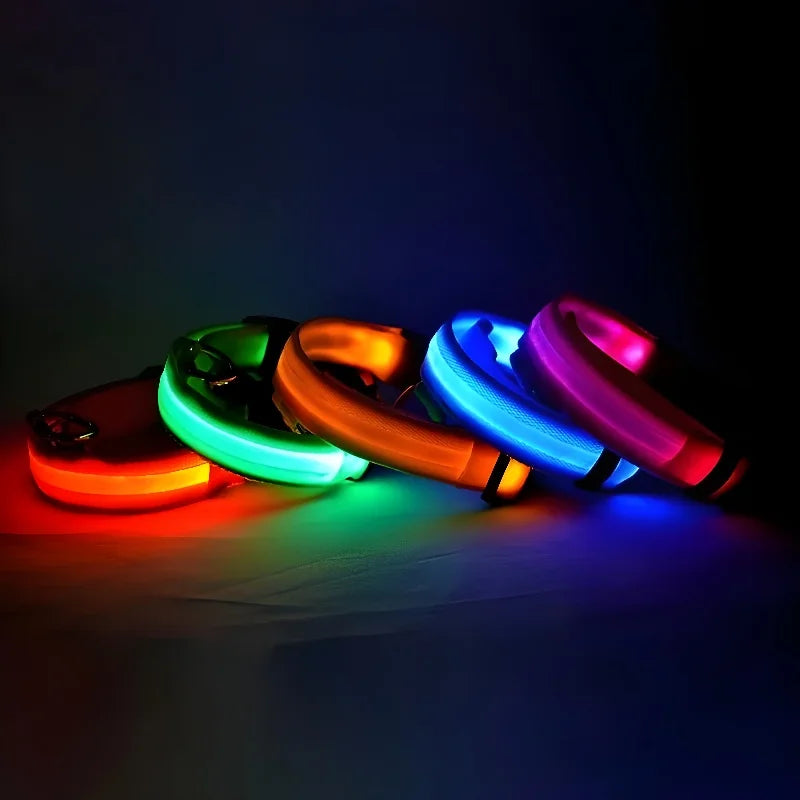 LED Nylon Dog Collar & Leash