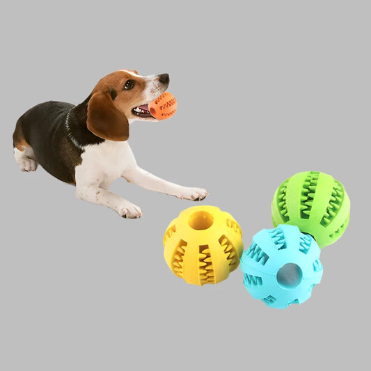 Interactive Rubber Dog Chew Ball