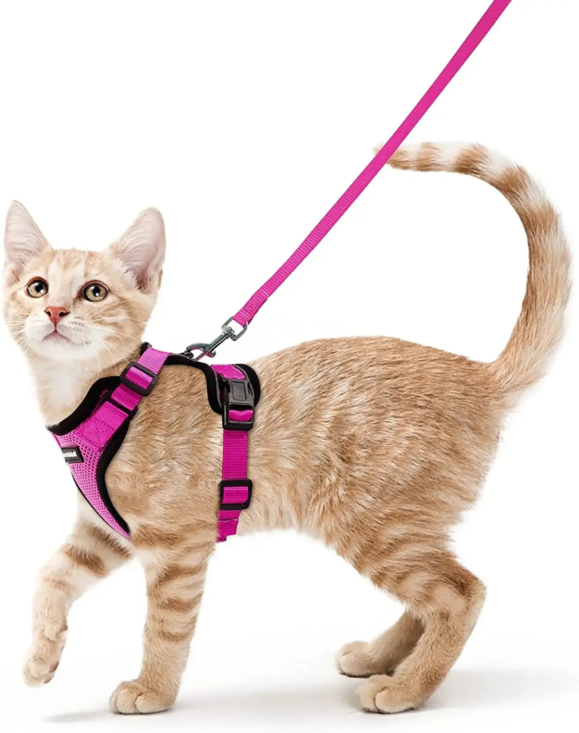 Escape Proof Cat Harness & Leash