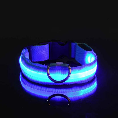 LED Nylon Dog Collar & Leash