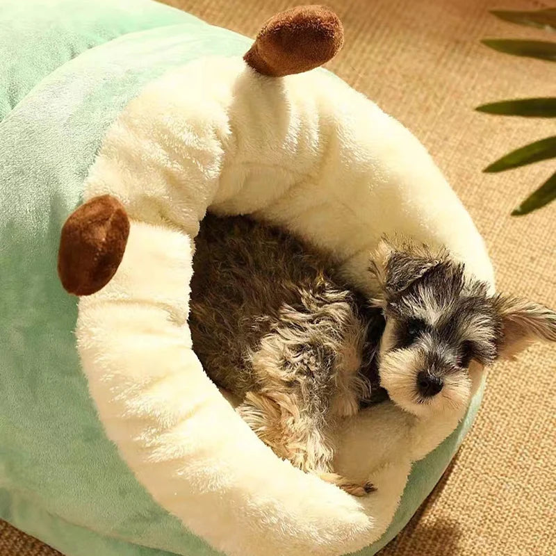 Cozy Slip Dog Bed