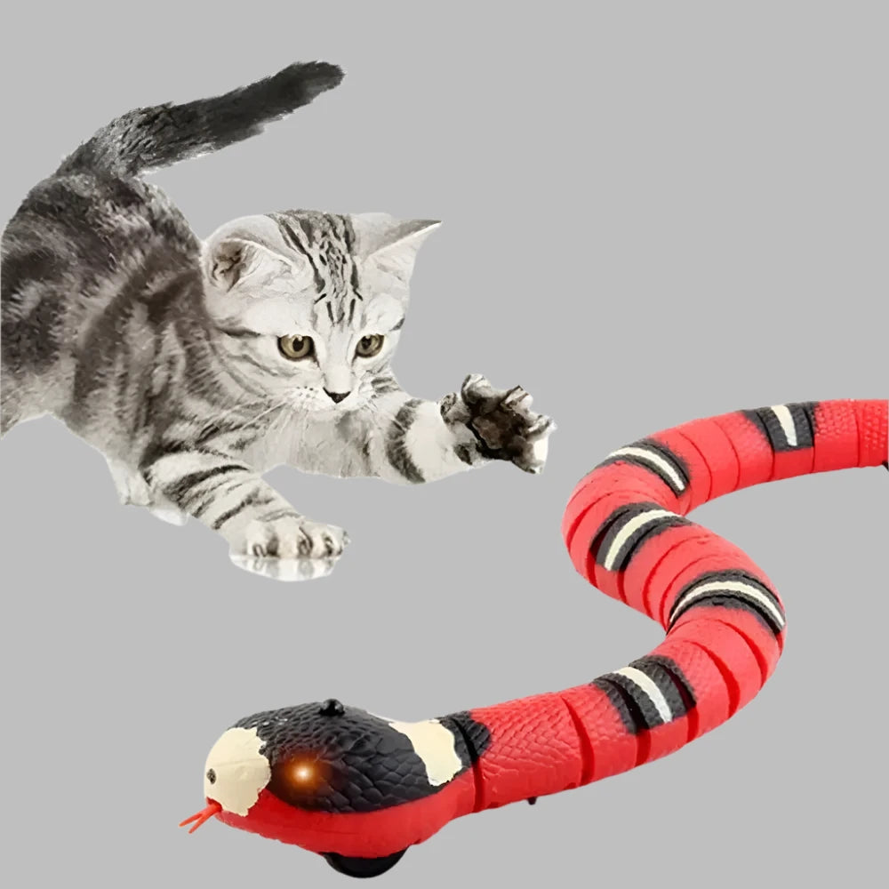 SmartSnake Interactive Cat Toy