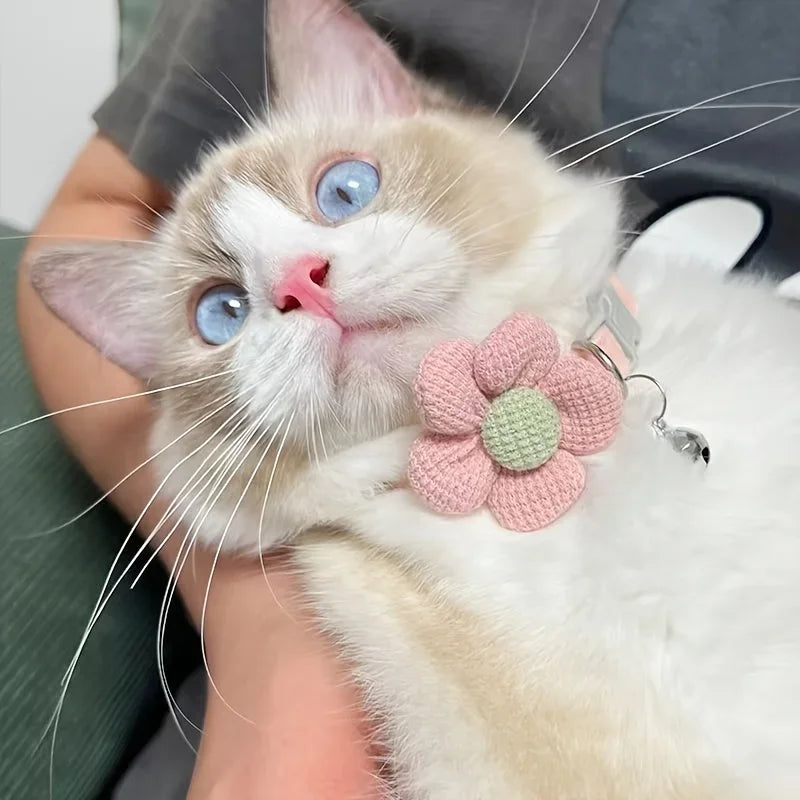 Floral Paws Cat Collar