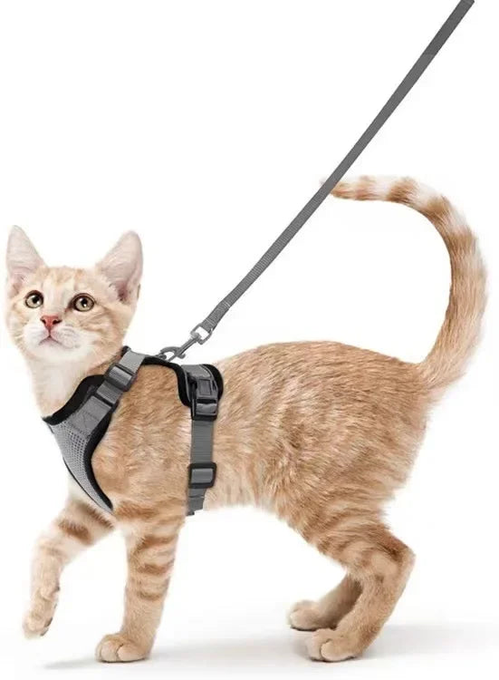 Escape Proof Cat Harness & Leash