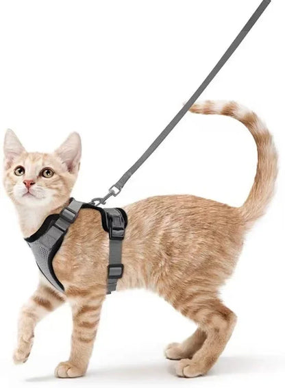 Escape Proof Cat Harness & Leash