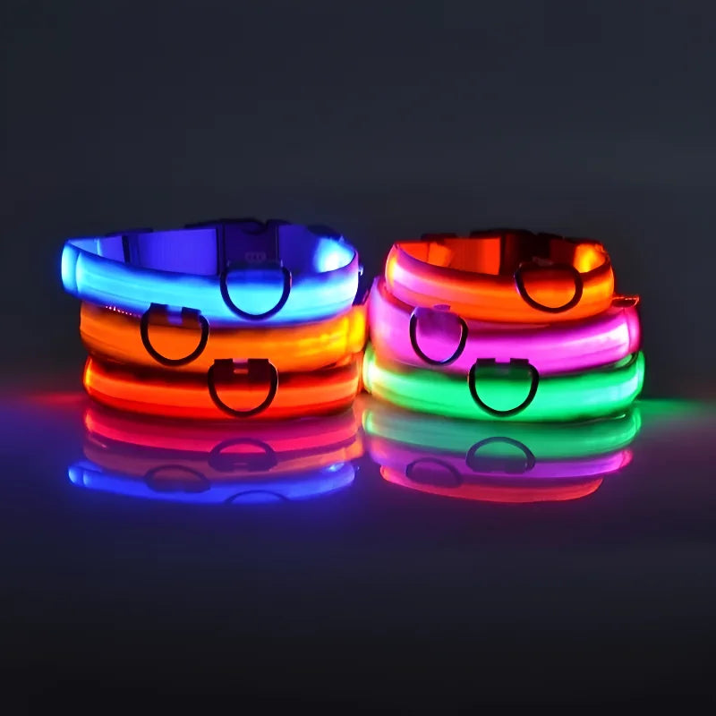 LED Nylon Dog Collar & Leash