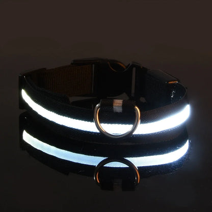 LED Nylon Dog Collar & Leash