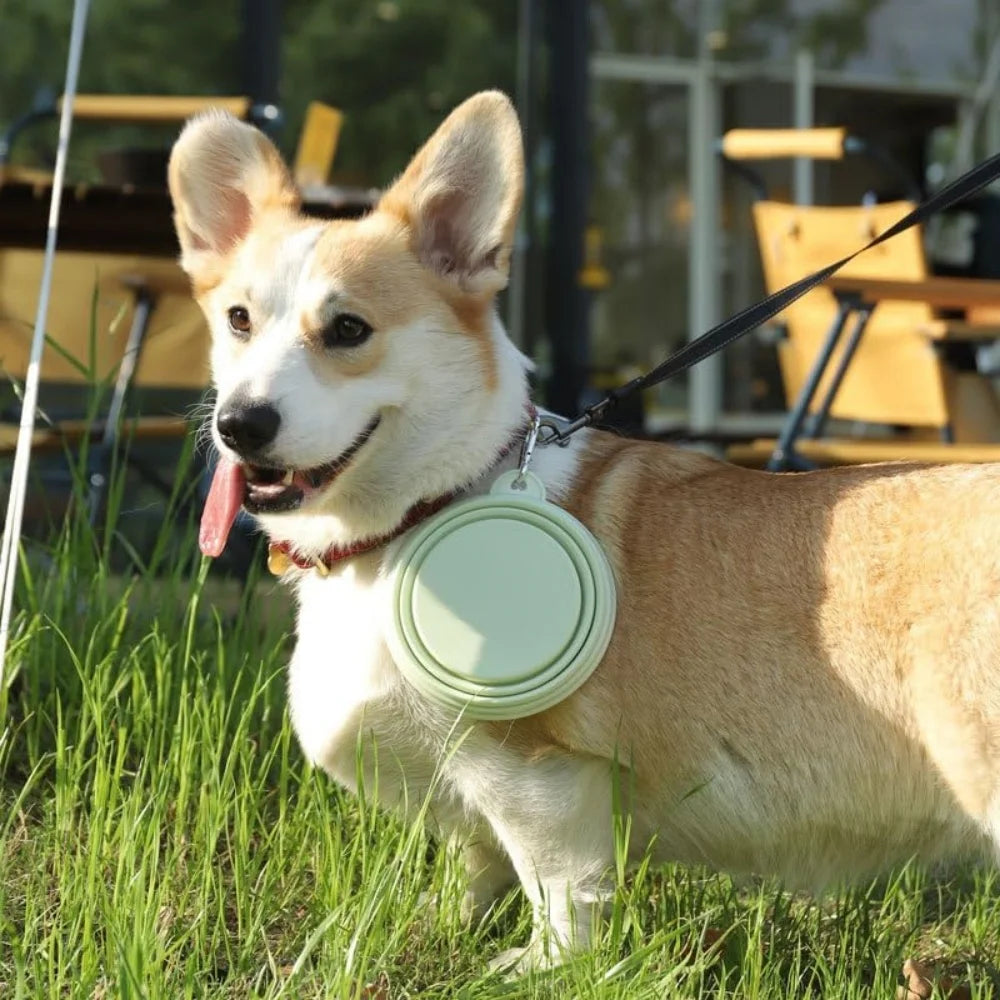 Collapsible Silicone Pet Travel Bowls