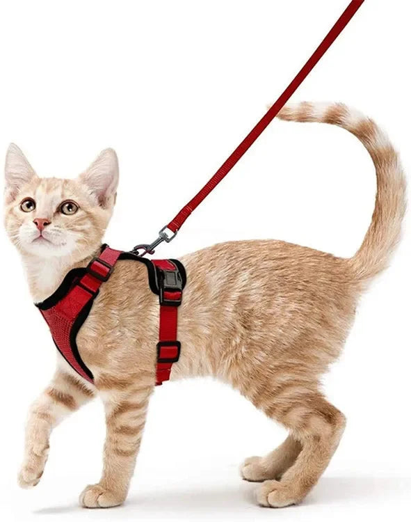 Escape Proof Cat Harness & Leash