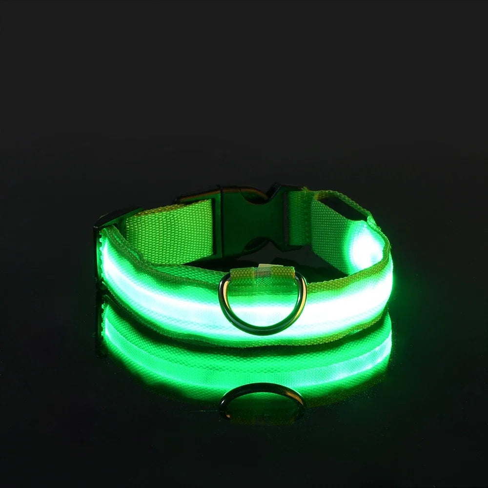 LED Nylon Dog Collar & Leash