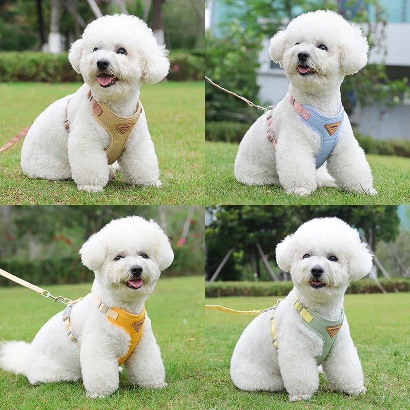 Breathable Puppy Harness & Leash Set