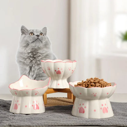 Elevated Ceramic Cat Food Bowl Set