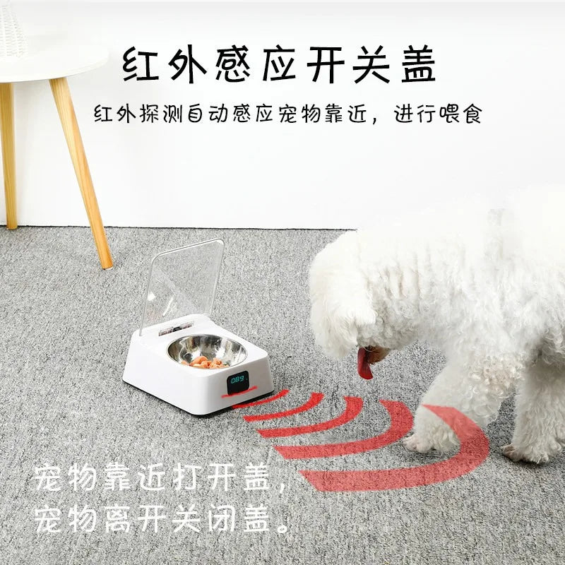 Smart Feast Automatic Pet Feeder