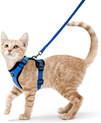 Escape Proof Cat Harness & Leash