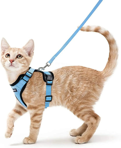 Escape Proof Cat Harness & Leash