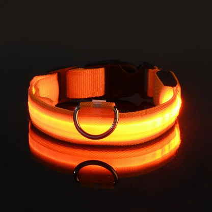 LED Nylon Dog Collar & Leash