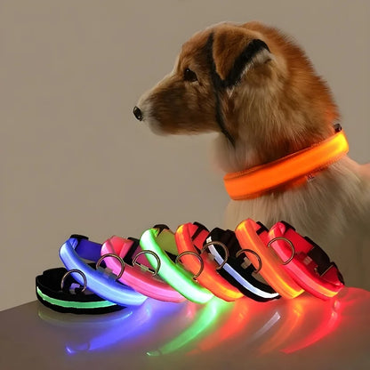 LED Nylon Dog Collar & Leash