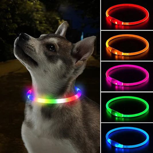 LED Light-Up USB Dog Collar