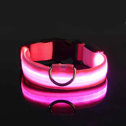 LED Nylon Dog Collar & Leash