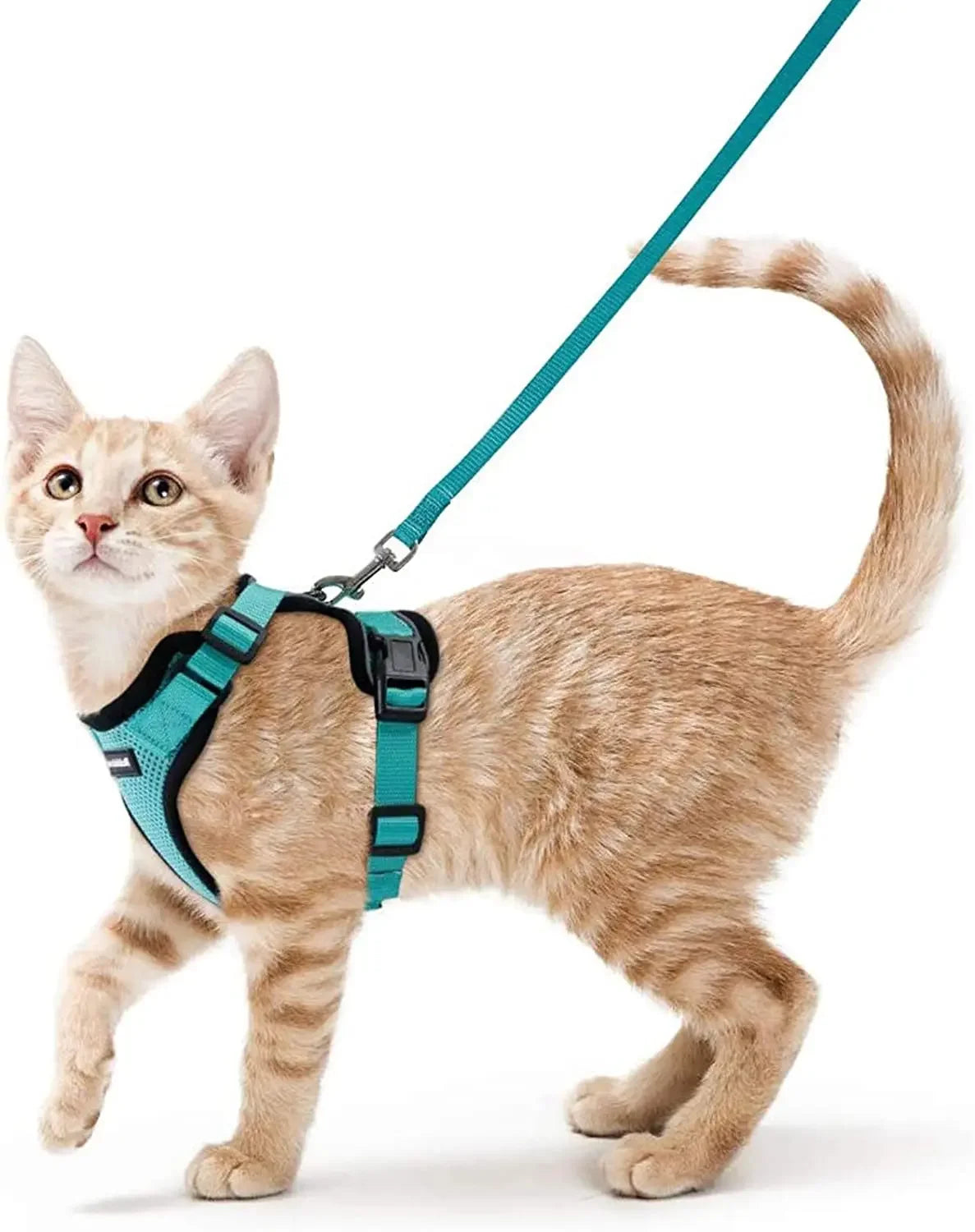 Escape Proof Cat Harness & Leash