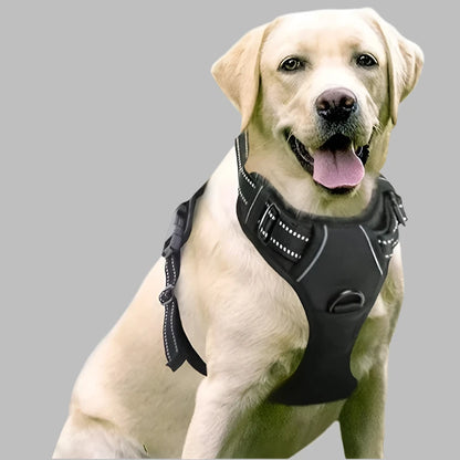 Easy Fit No Pull Dog Harness