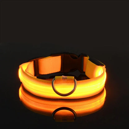 LED Nylon Dog Collar & Leash