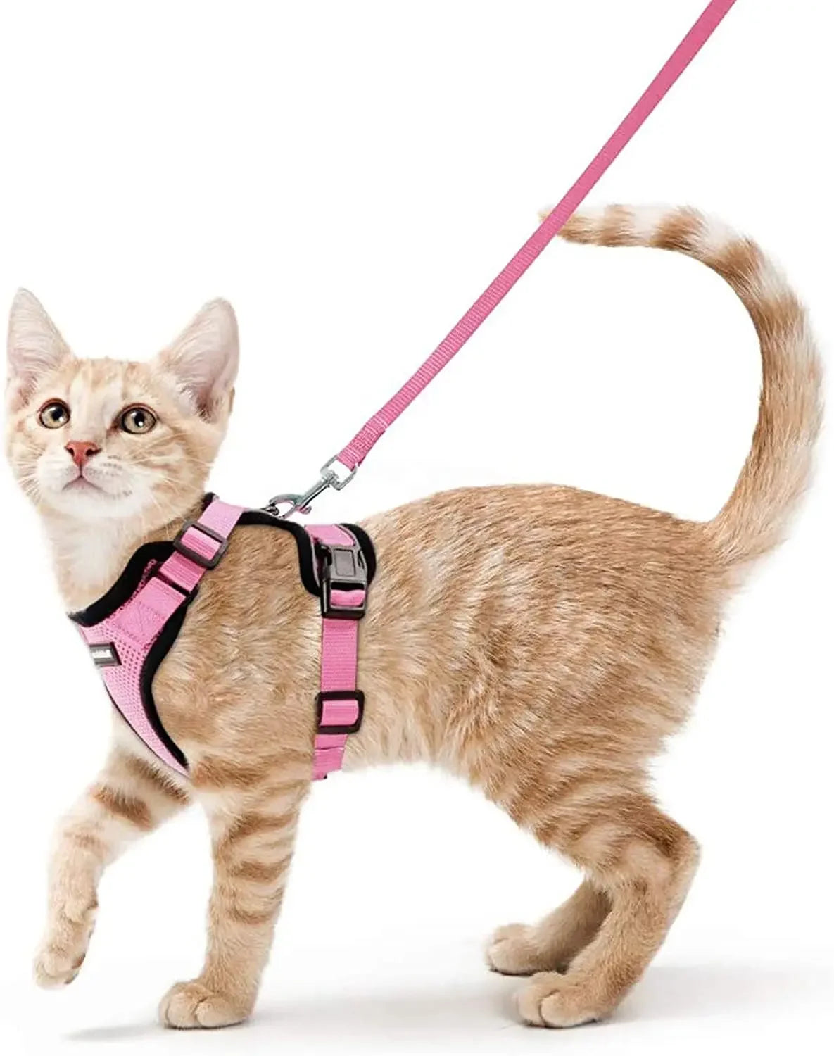 Escape Proof Cat Harness & Leash