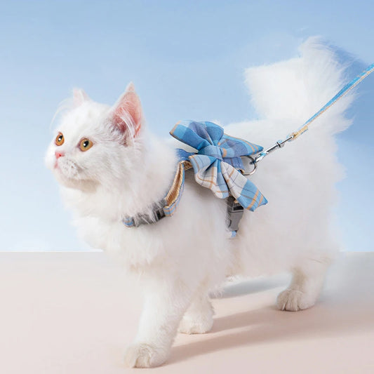 Cozy Paws Harness Set